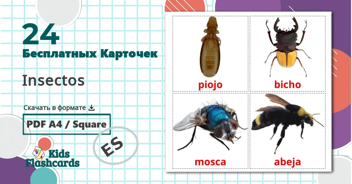 24 Карточки Домана Insectos