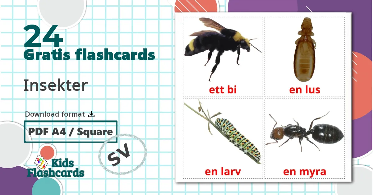 24 Insekter billedkort for børn