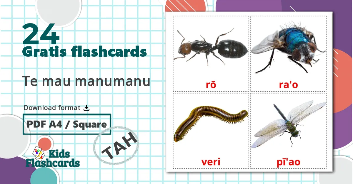 24 Te mau manumanu billedkort for børn