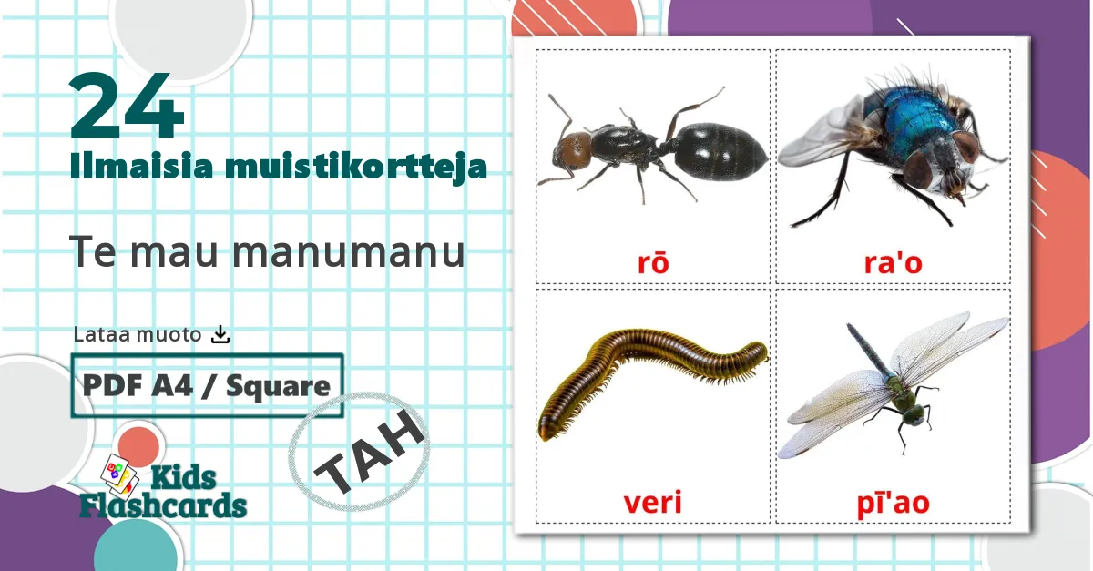 24 Te mau manumanu lasten kuvakortit