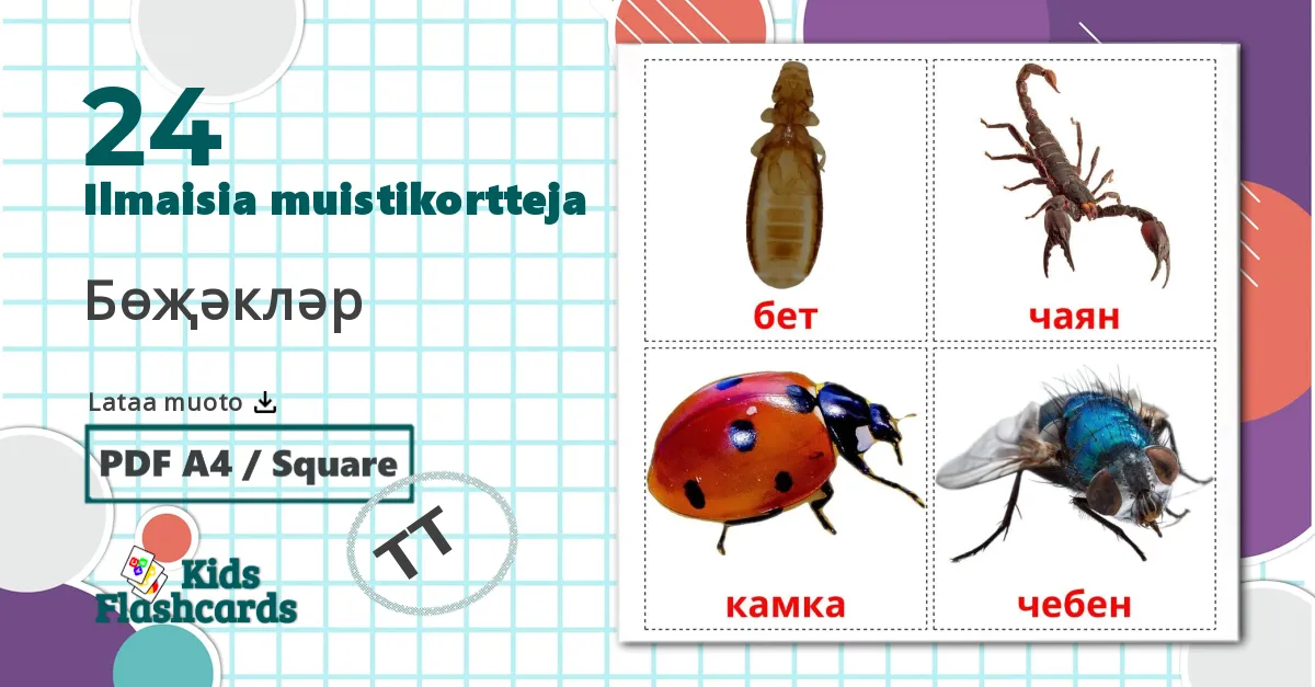 24 Бөҗәкләр lasten kuvakortit