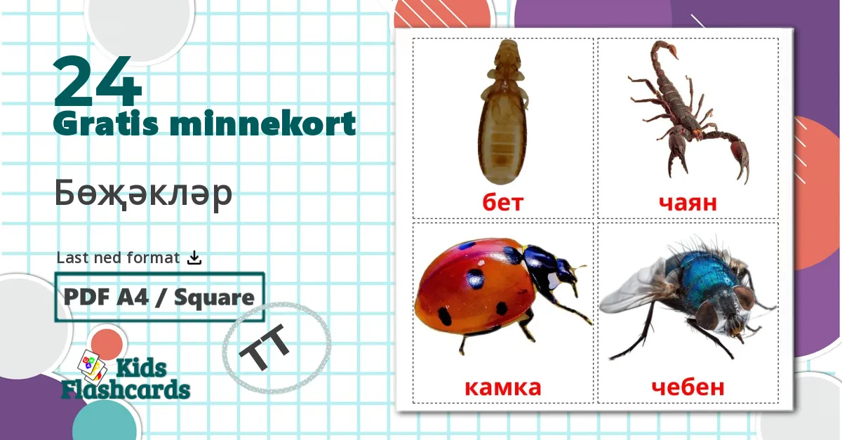 24 Бөҗәкләр bildekort