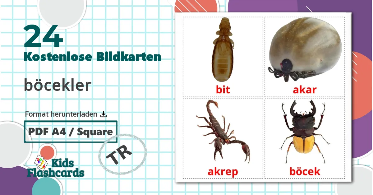 24 Bildkarten für böcekler