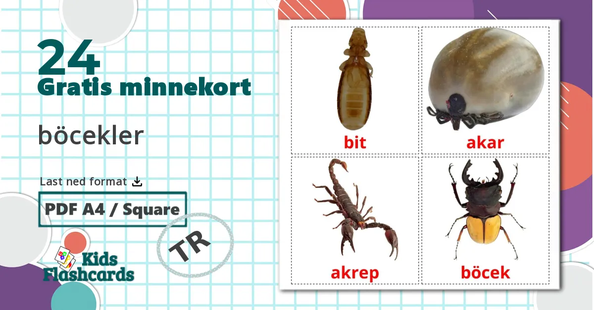 24 böcekler bildekort