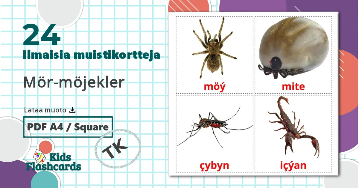24 Insekt lasten kuvakortit