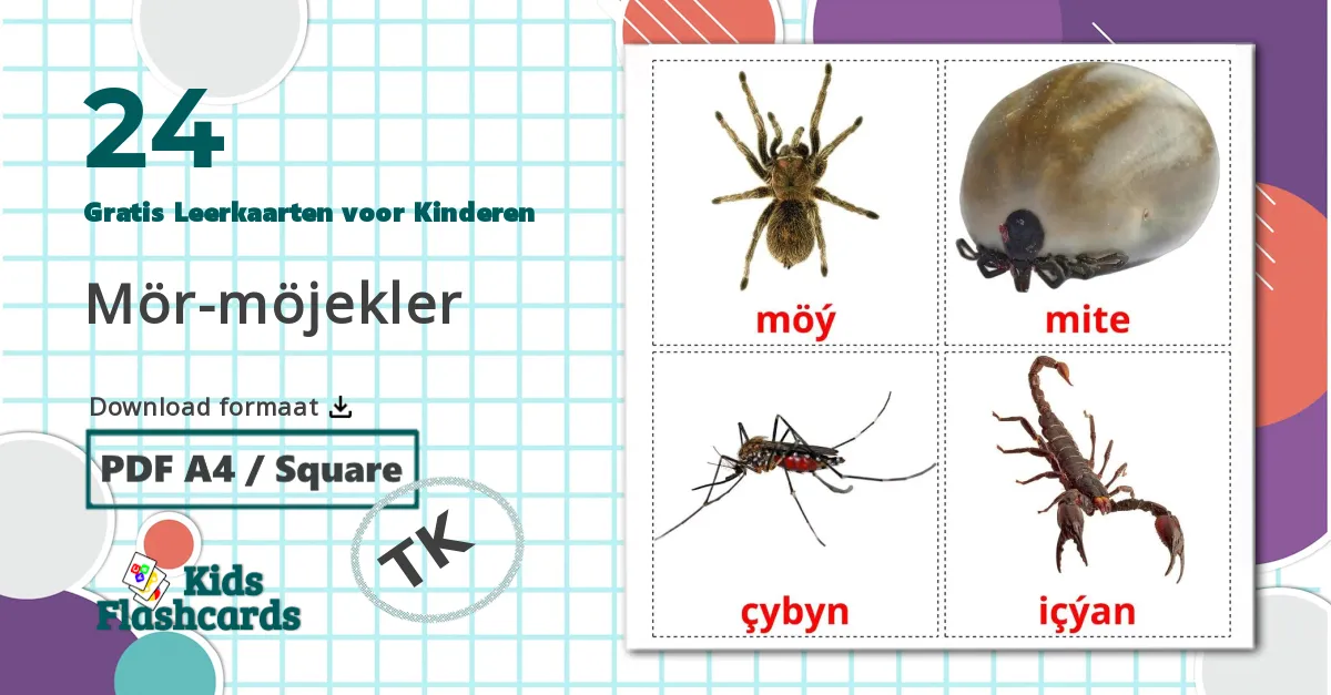24 Insecten Leerkaarten voor kinderen