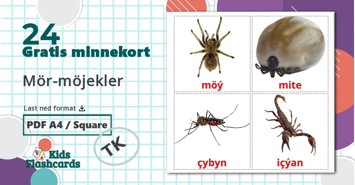 24 insekter bildekort