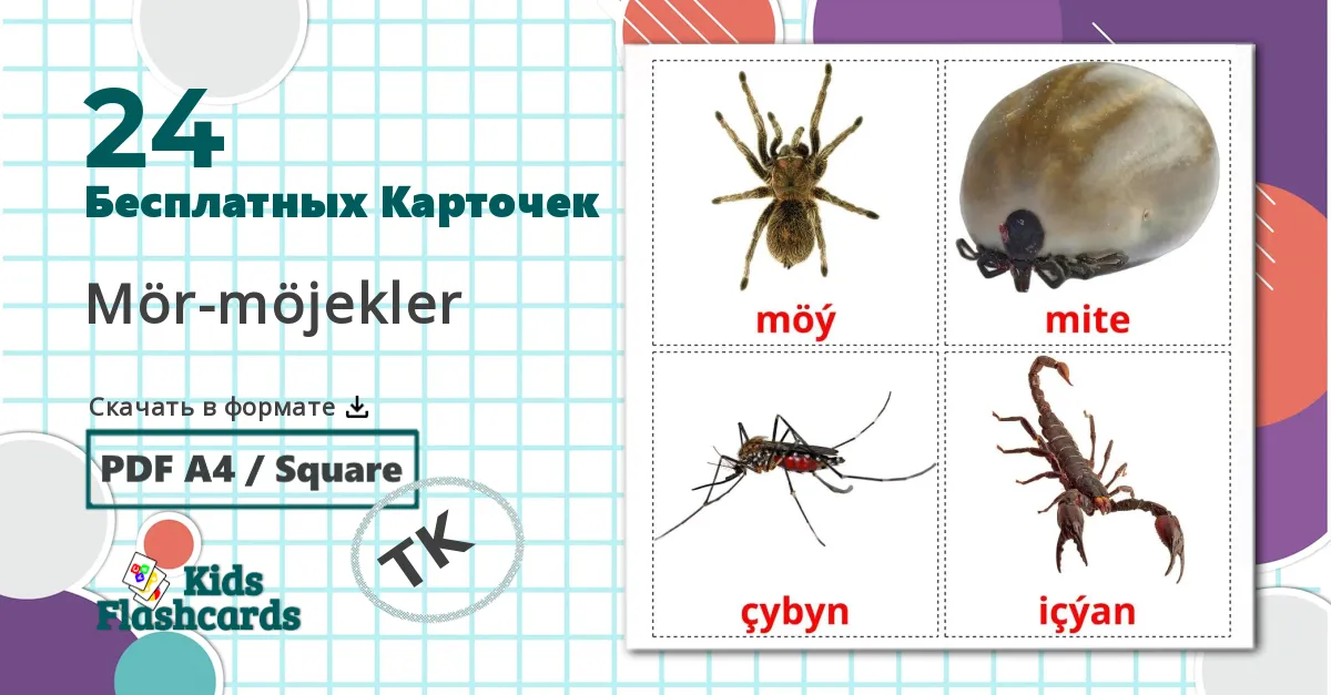 24 Карточки Домана Насекомые