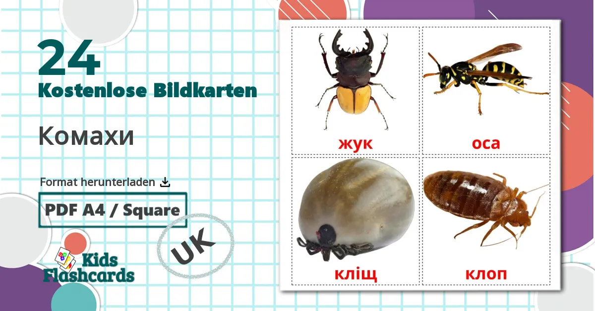 24 Bildkarten für Комахи