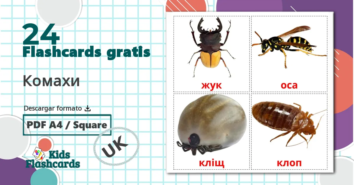 24 tarjetas didacticas de Комахи