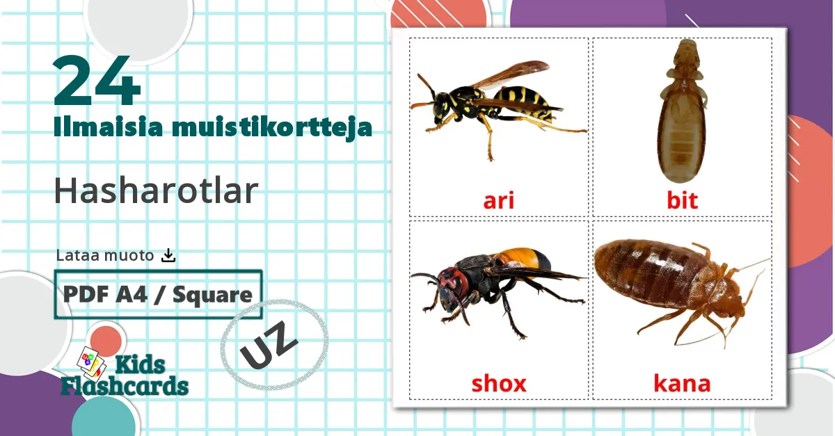 24 Hasharotlar lasten kuvakortit
