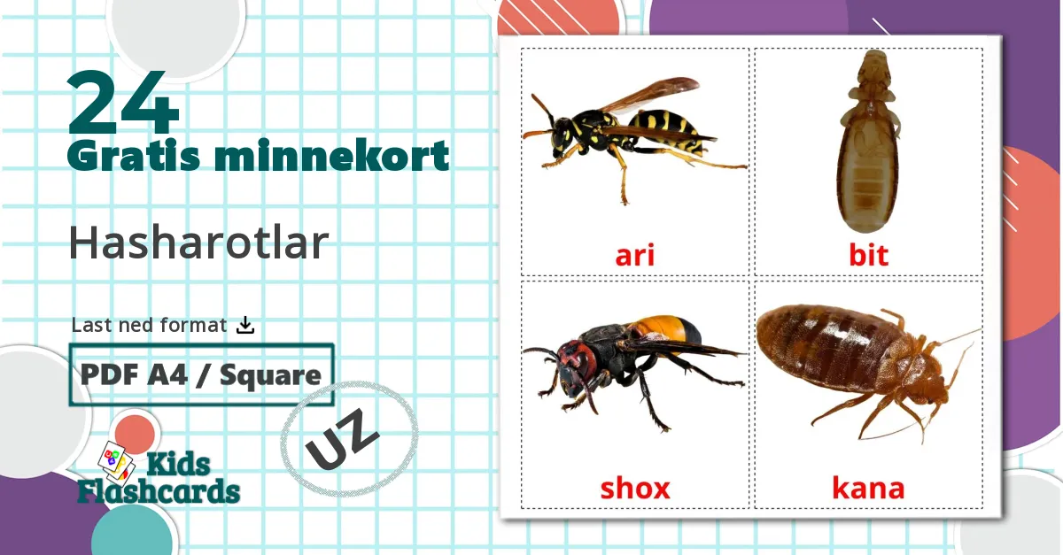 24 Hasharotlar bildekort
