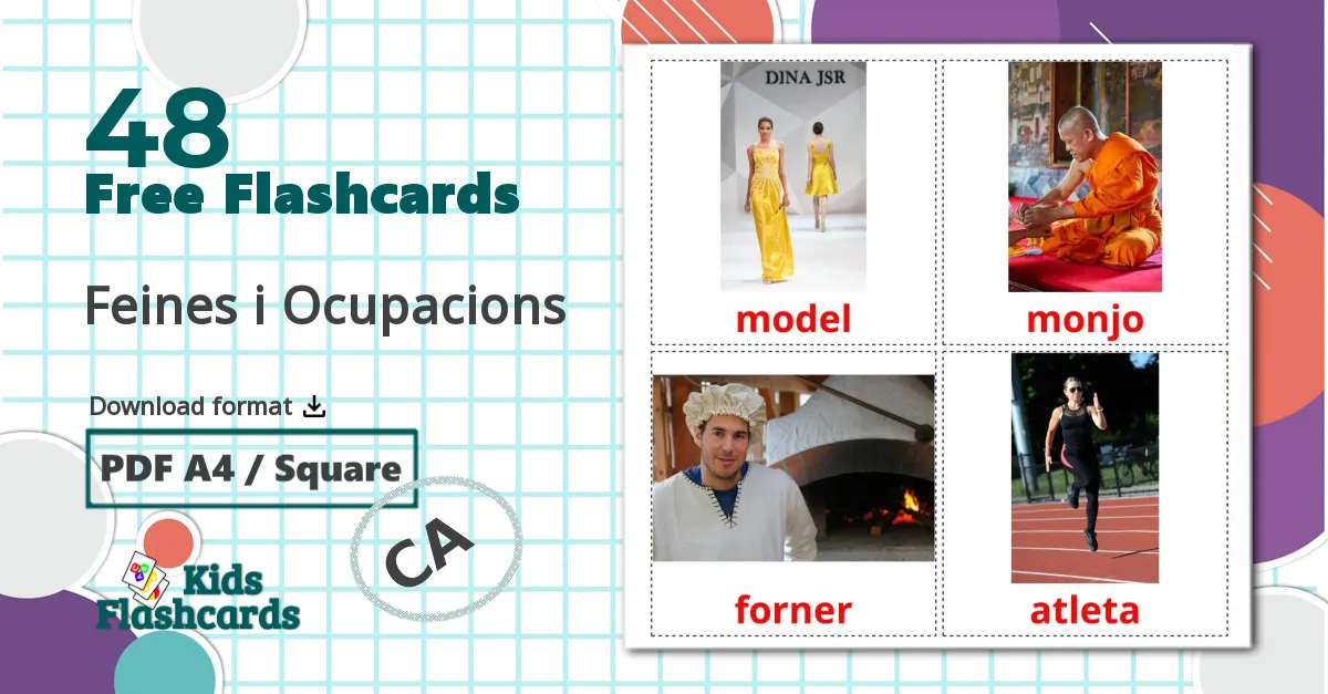 48 Feines i Ocupacions flashcards