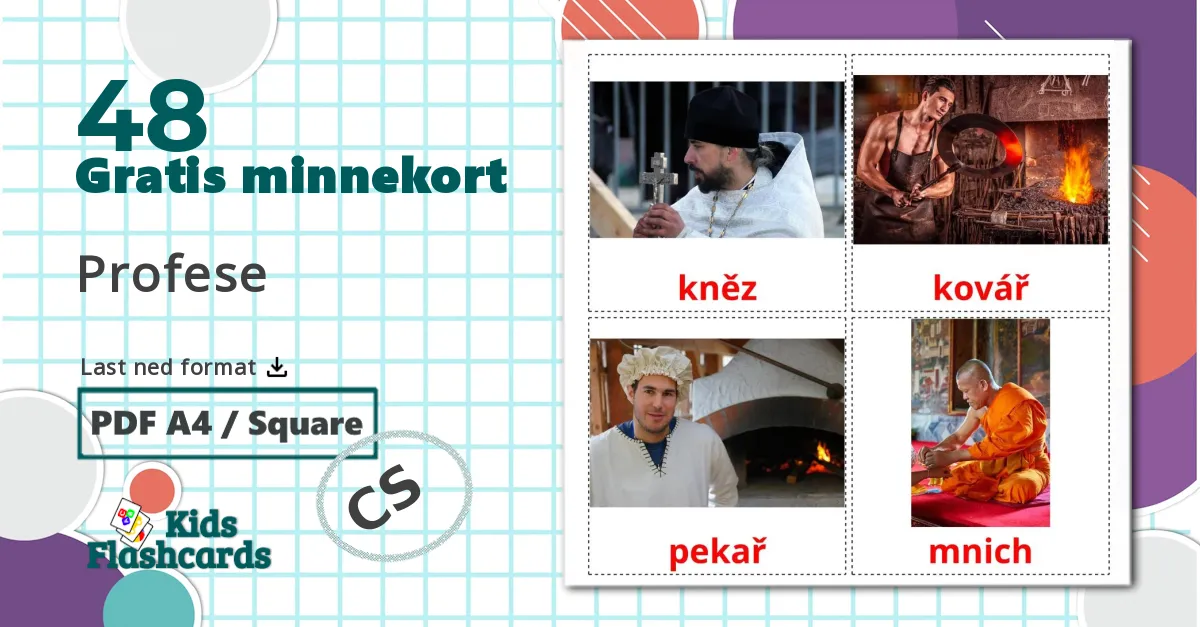 48 Profese bildekort