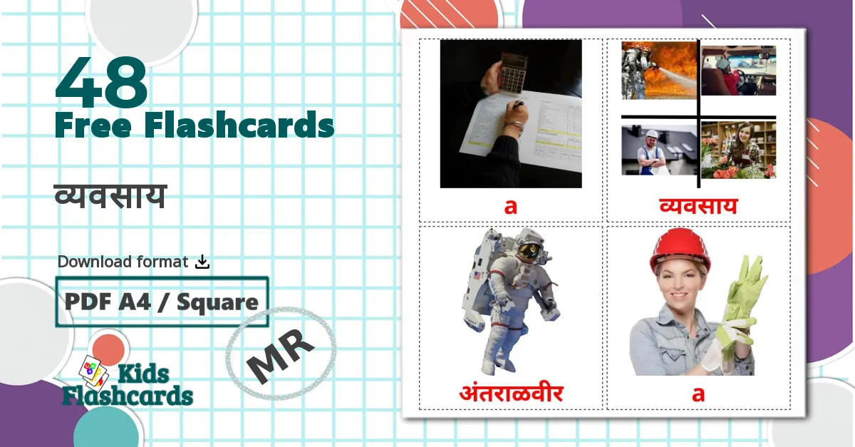 48 Jobs and Occupations flashcards