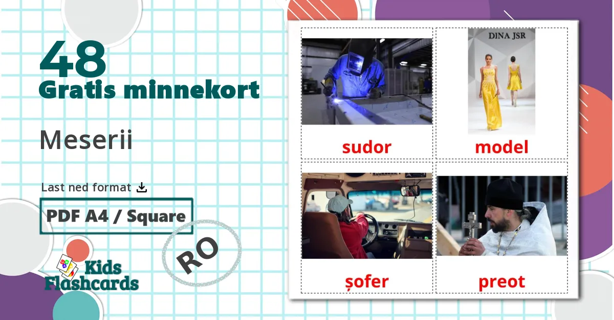48 Meserii bildekort