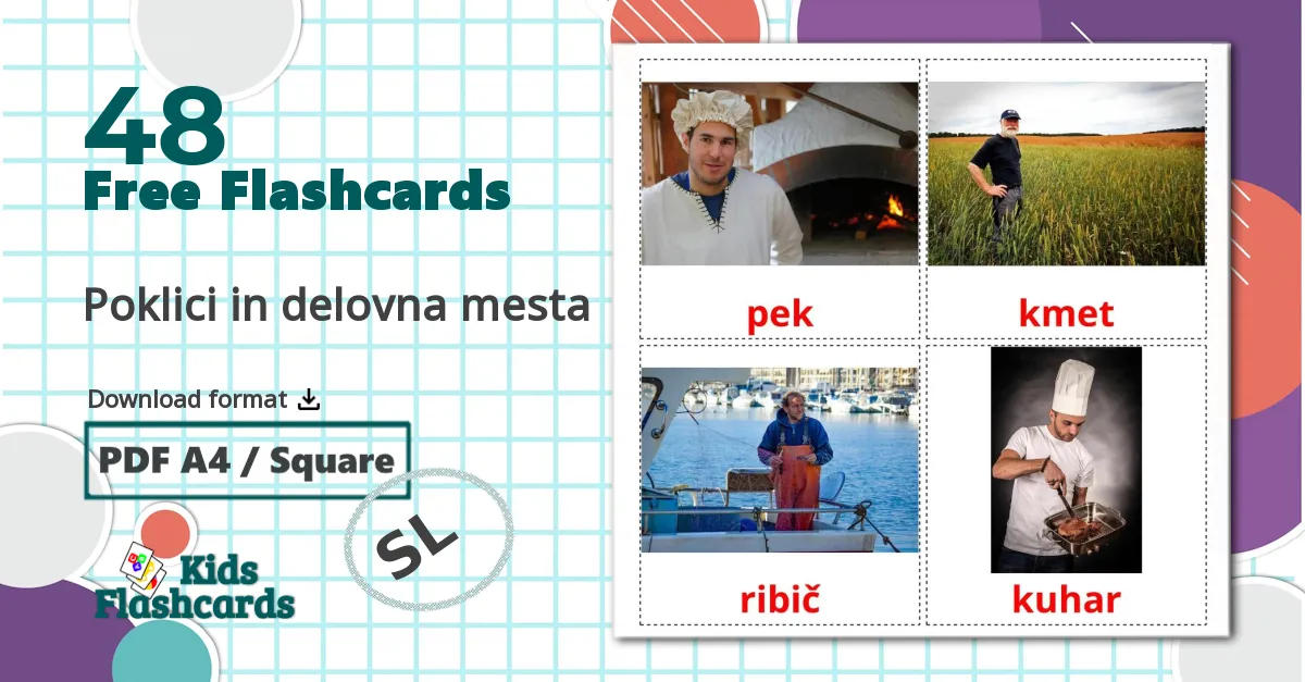 48 Poklici in delovna mesta flashcards