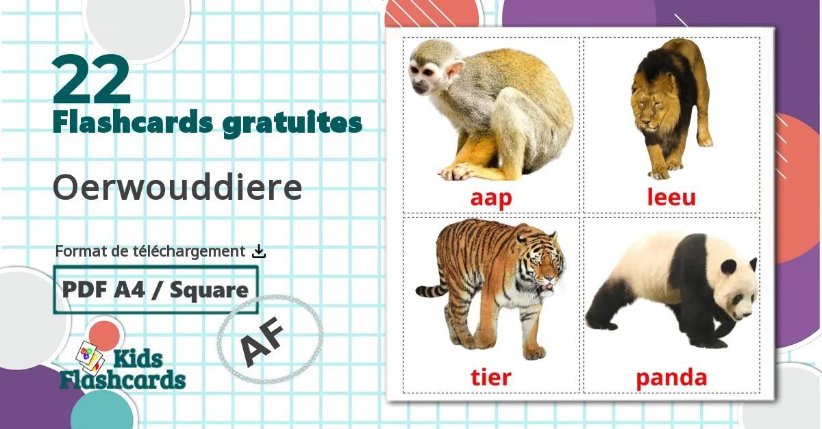 Les Animaux de la Jungle - cartes de vocabulaire afrikaans