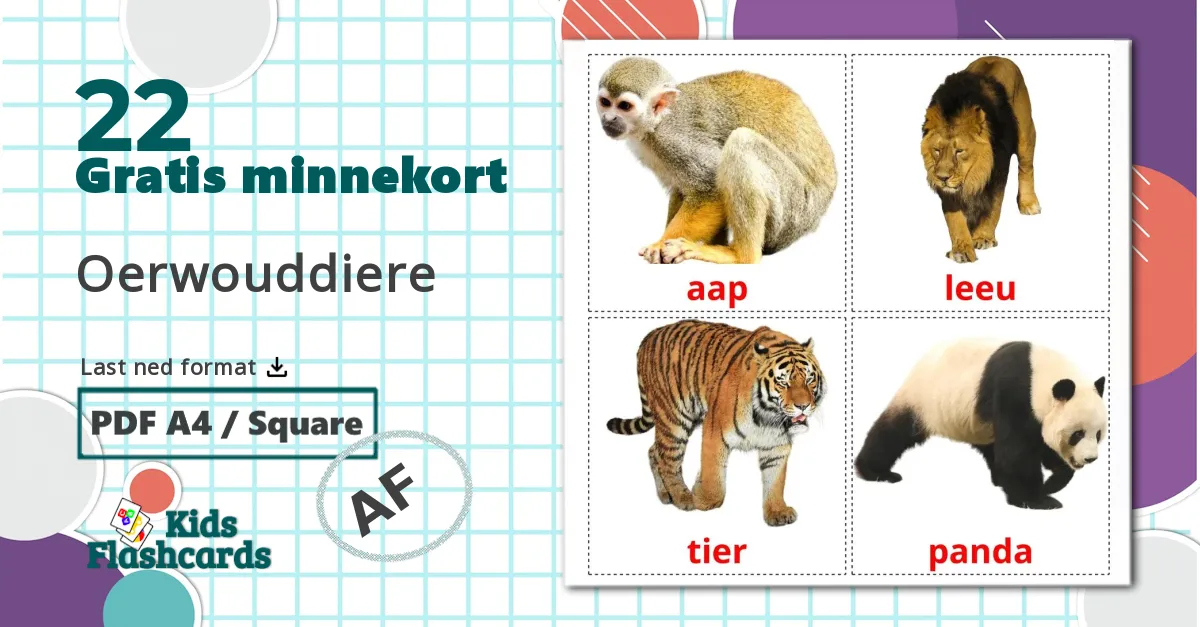 Jungeldyr - Ordforrådskort for afrikaans