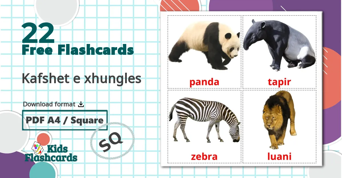 Jungle animals - albanian vocabulary cards