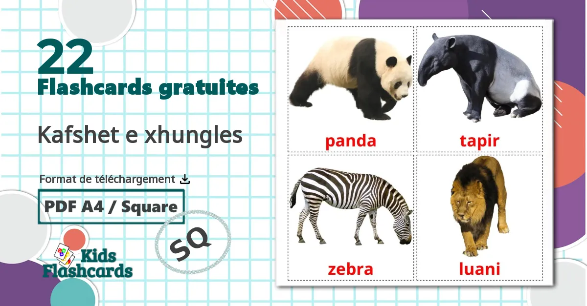 Les Animaux de la Jungle - cartes de vocabulaire albanais