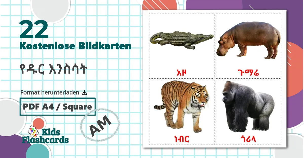 22 Bildkarten für የዱር እንስሳት