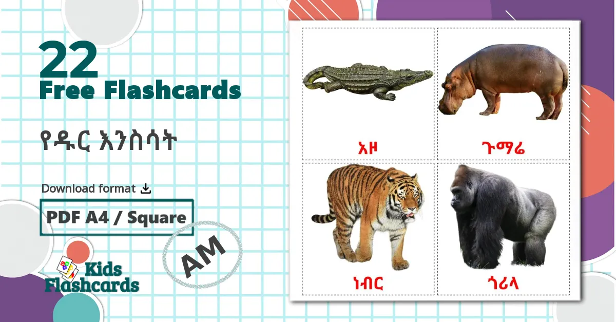 Jungle animals - amharic vocabulary cards