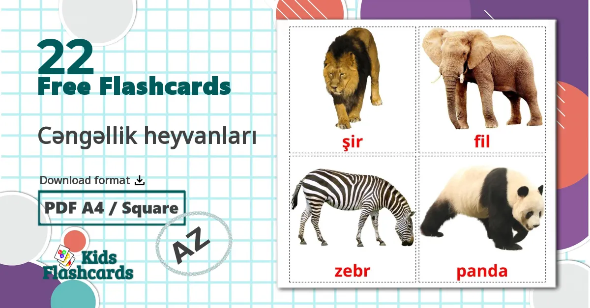 22 Cəngəllik heyvanları flashcards