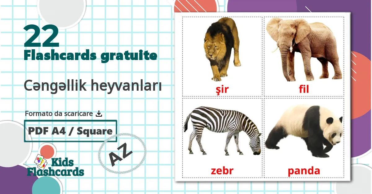 22 flashcards di Cəngəllik heyvanları