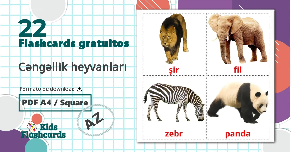 22 Flashcards de Cəngəllik heyvanları