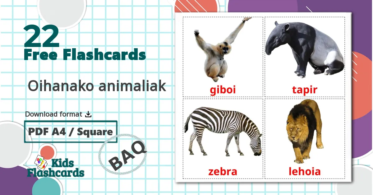 22  Oihanako animaliak flashcards