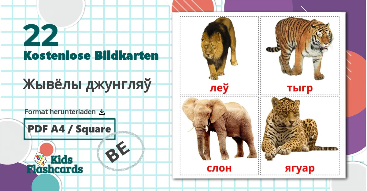 22 Bildkarten für Жывёлы джунгляў