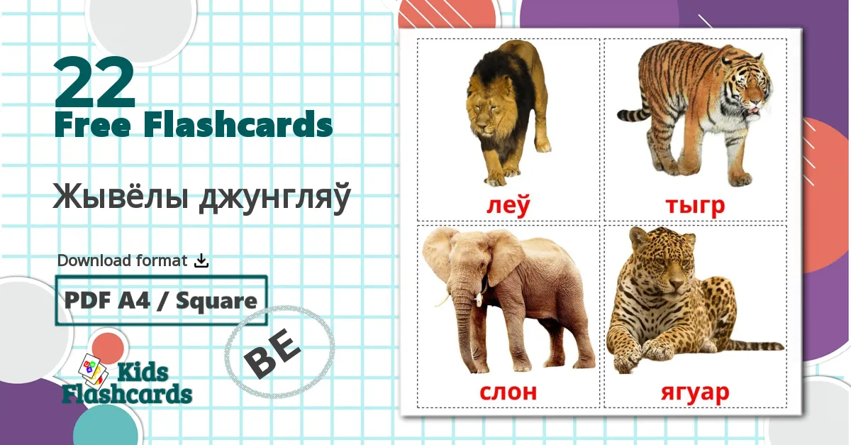 22 Жывёлы джунгляў flashcards