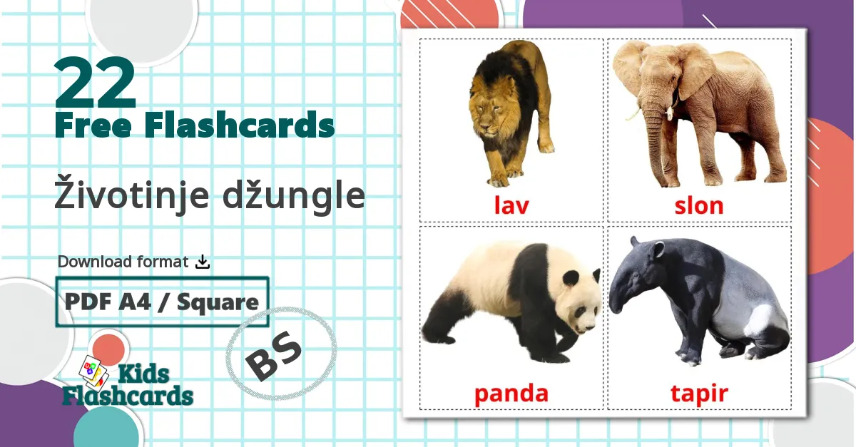 22 Životinje džungle  flashcards