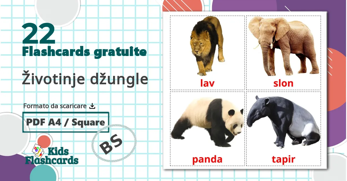 22 flashcards di Životinje džungle