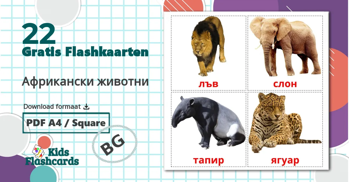 22 Африкански животни flashcards