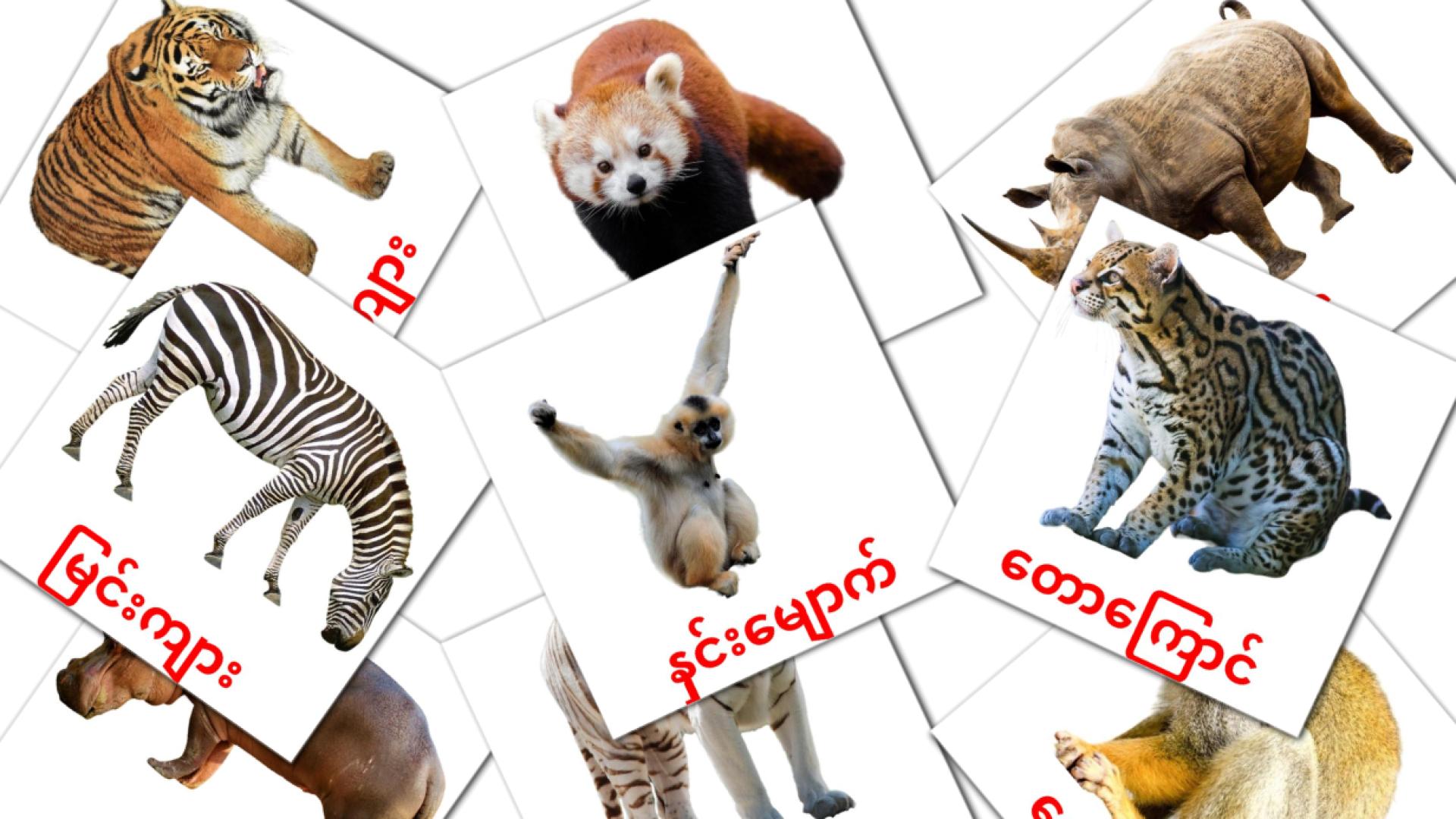 Bildkarten für တောတွင်းတိရစ္ဆာန်များ