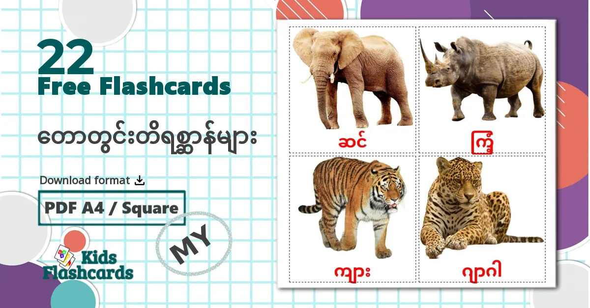 22 တောတွင်းတိရစ္ဆာန်များ flashcards