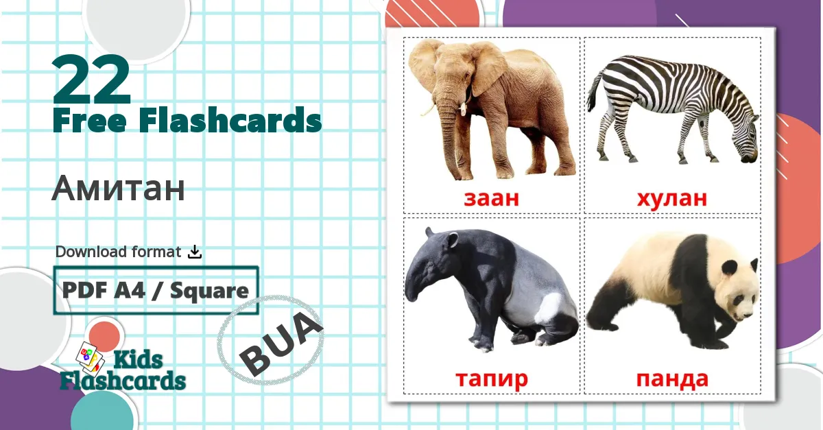 22 Амитан flashcards