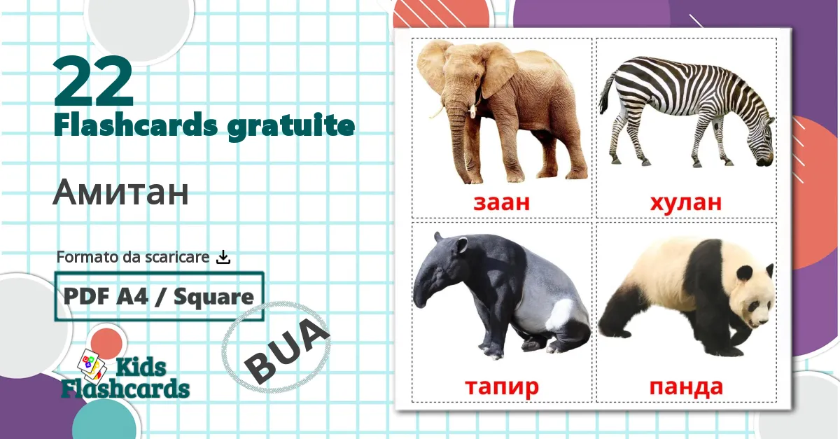 22 flashcards di Амитан