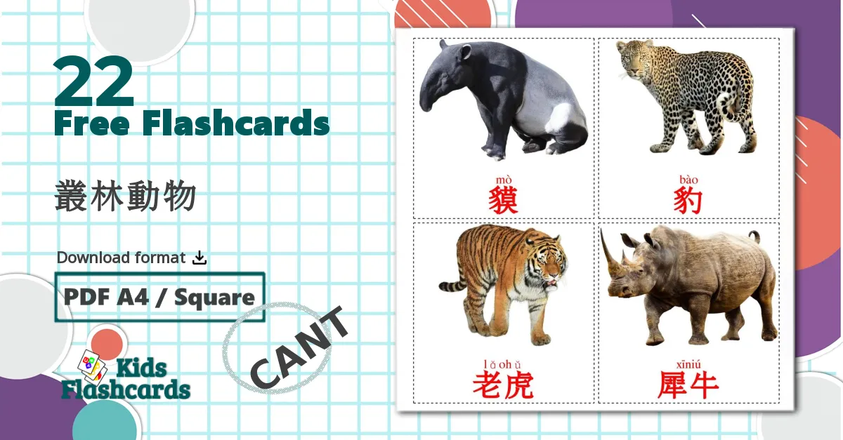 22 Jungle animals flashcards