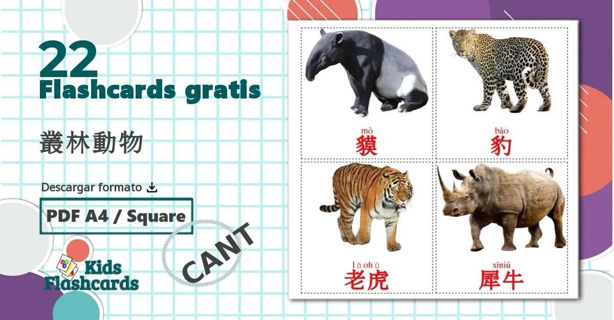 22 tarjetas didacticas de 叢林動物