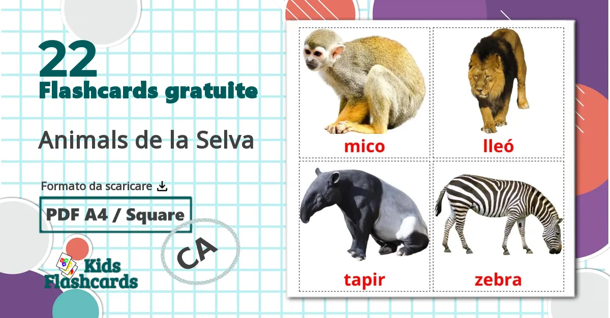 22 flashcards di Animals de la Selva