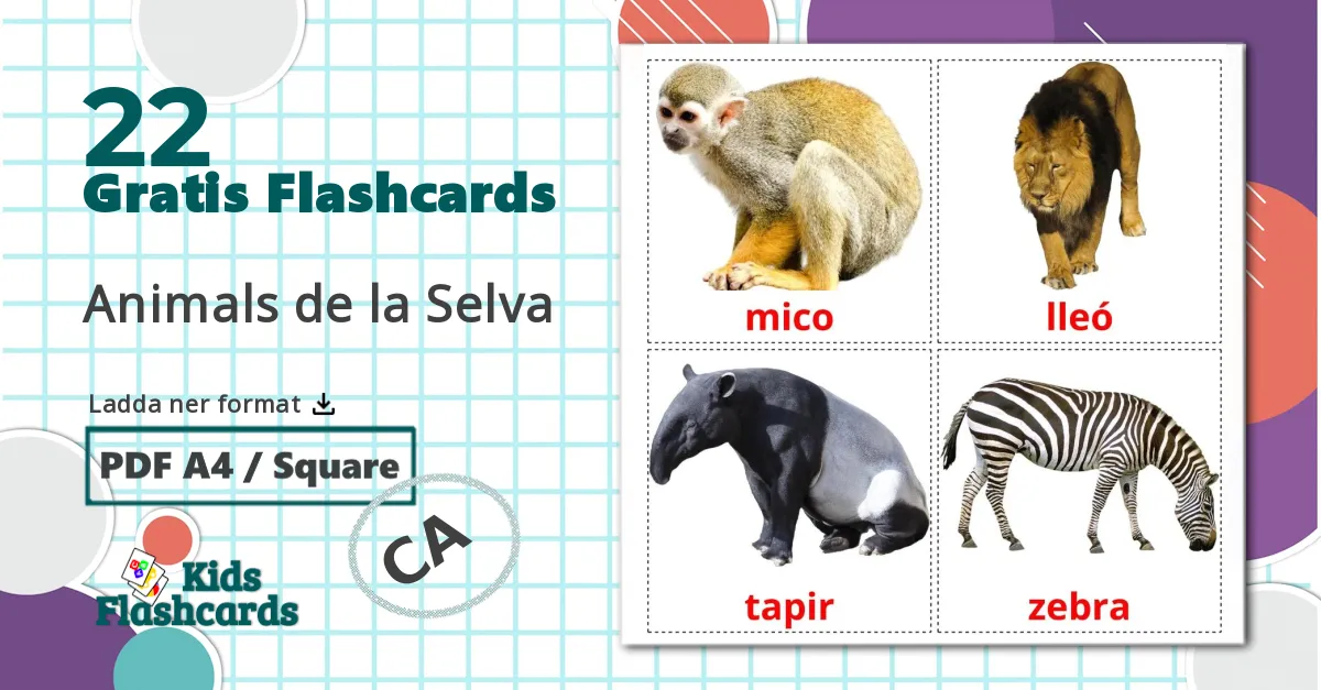 22 Animals de la Selva bildkort för barn
