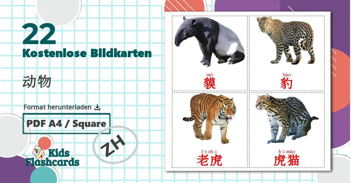 22 Bildkarten für 动物