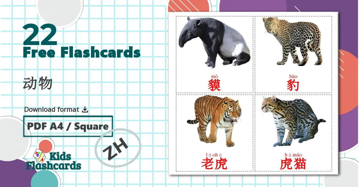 22 动物 flashcards