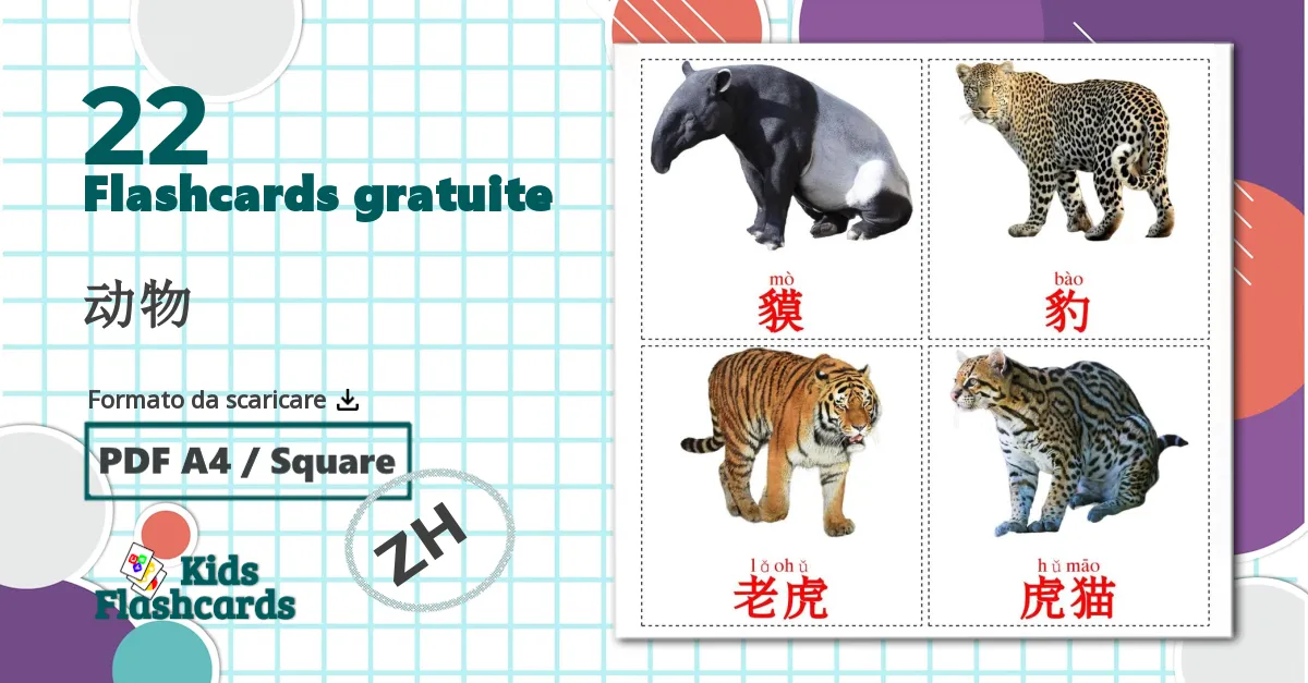 22 flashcards di 动物