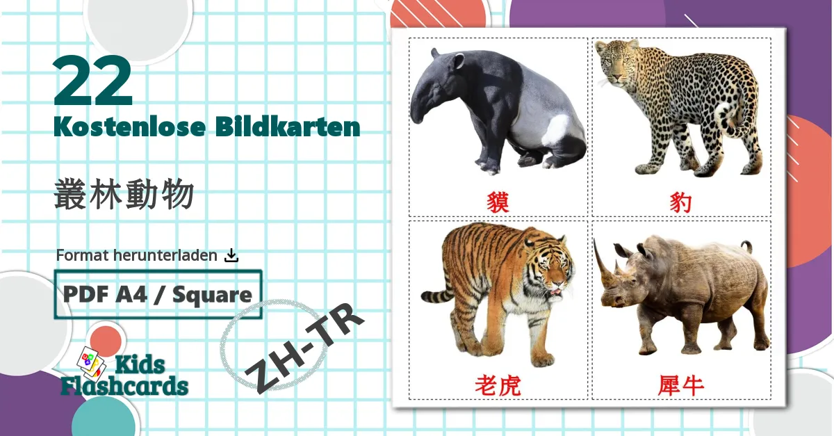 22 Bildkarten für 叢林動物