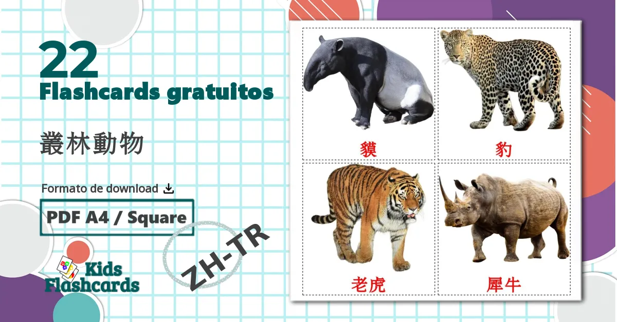 22 Flashcards de 叢林動物