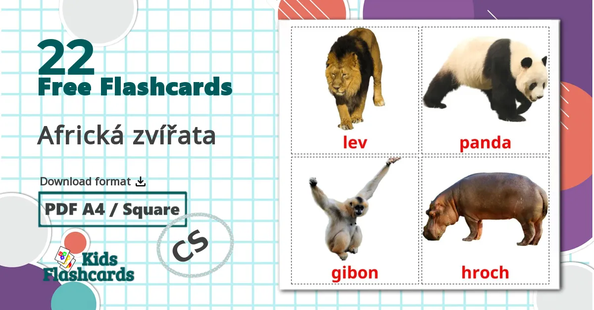 22 Africká zvířata flashcards